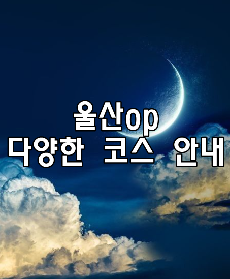 울산op 다양한 코스 안내