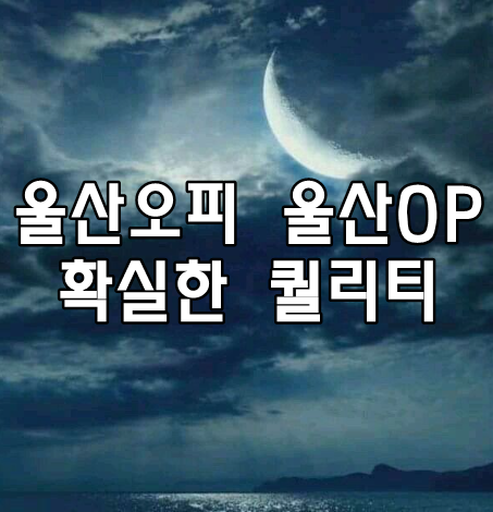 울산오피 울산OP 확실한 퀄리티